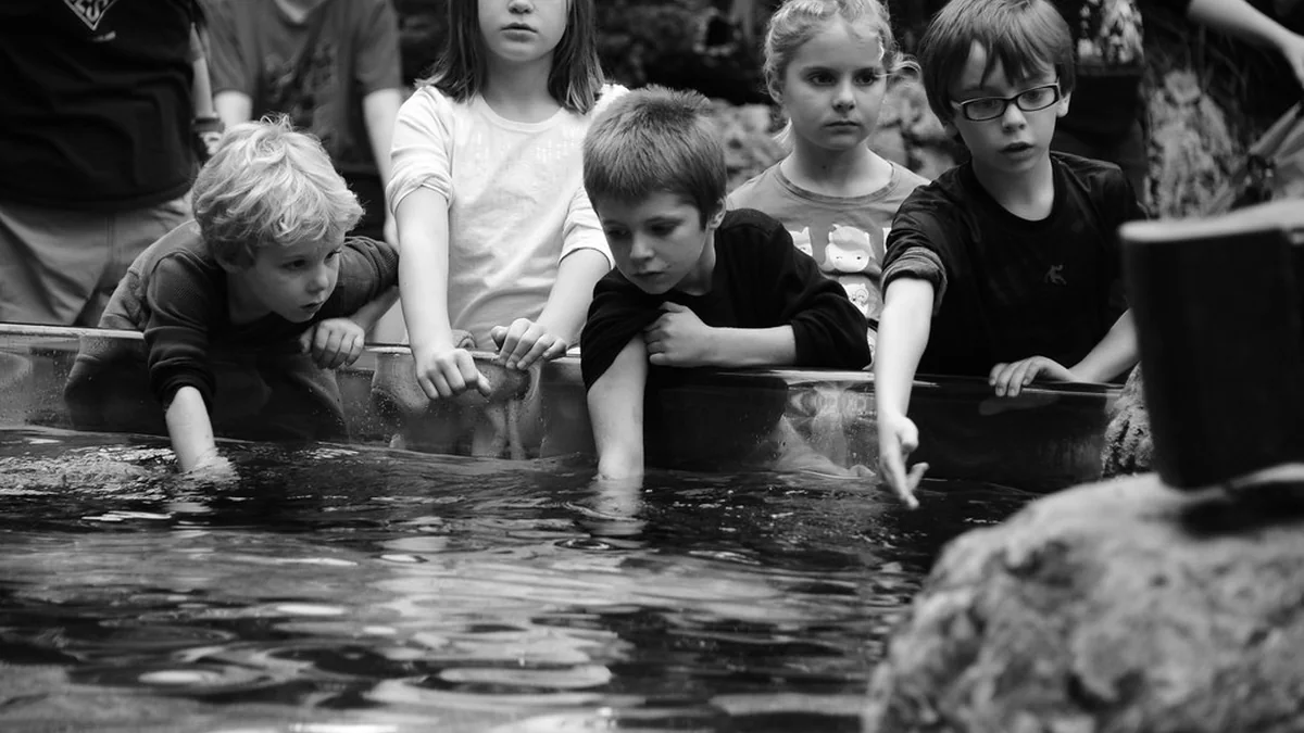 Kid-Friendly Things to Do in Chattanooga, TN That Parents Can Enjoy Too featured image