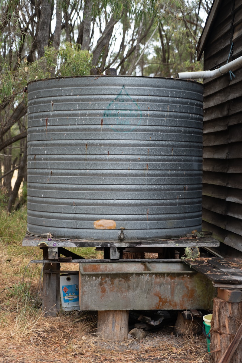 Is It Really Illegal to Collect Rainwater in Some States?