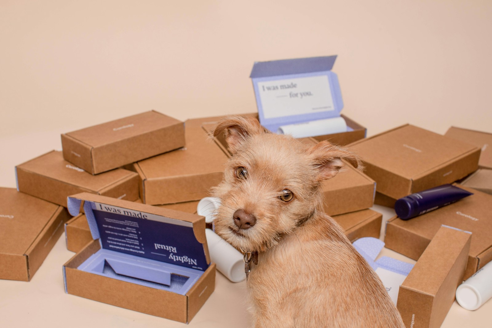How to Deter Porch Pirates – Tips and Tricks