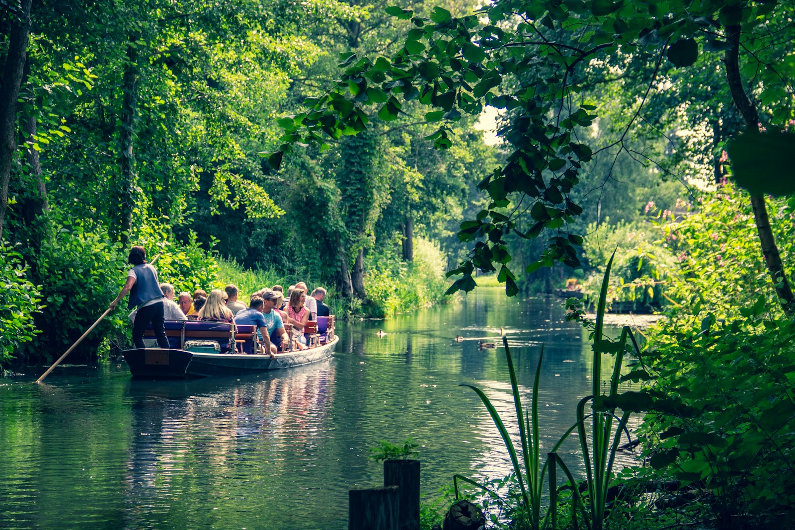Traveling Green: How to Plan an Eco-Friendly Vacation