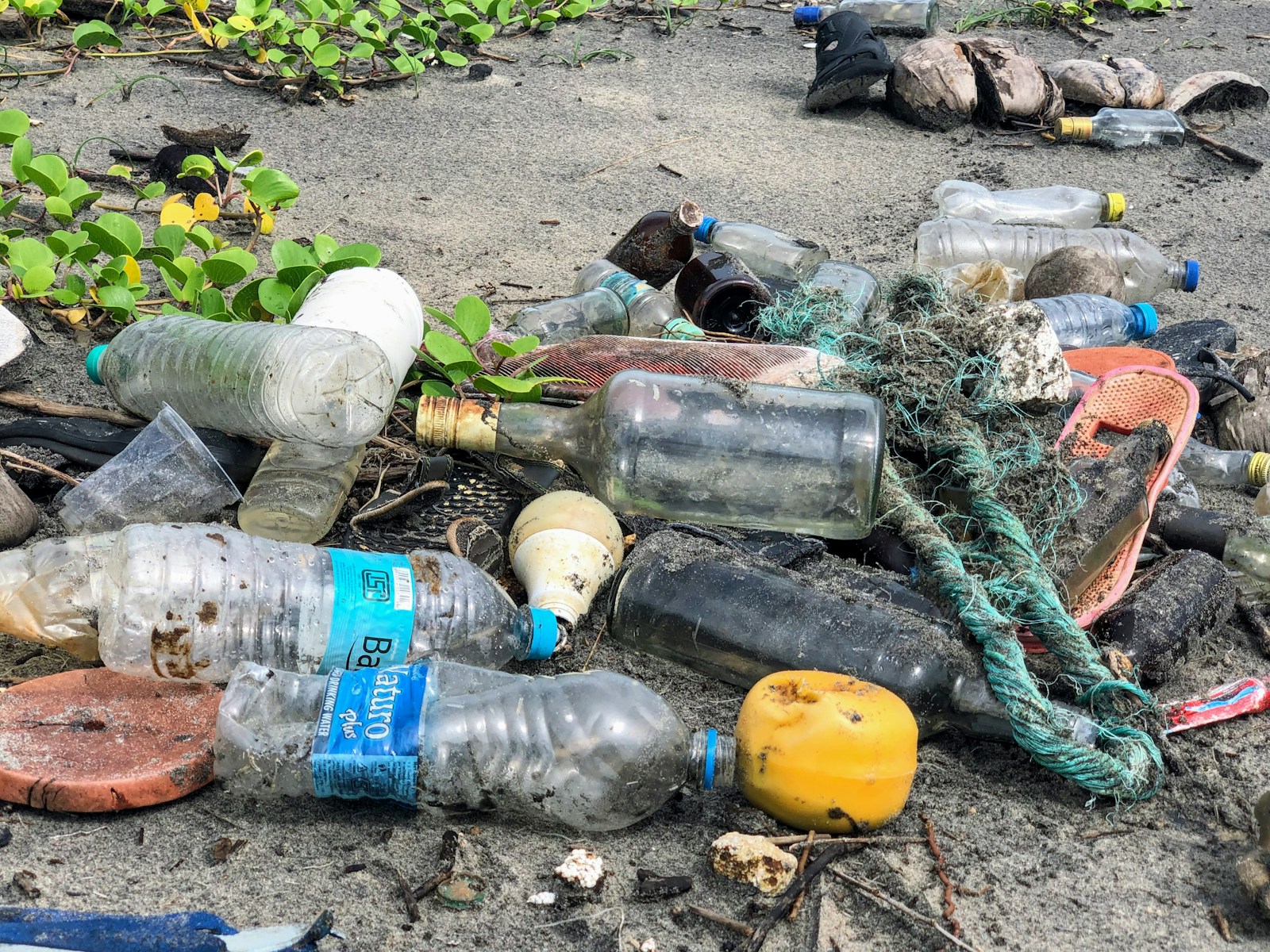 What Are the Penalties for Littering in Public Spaces?