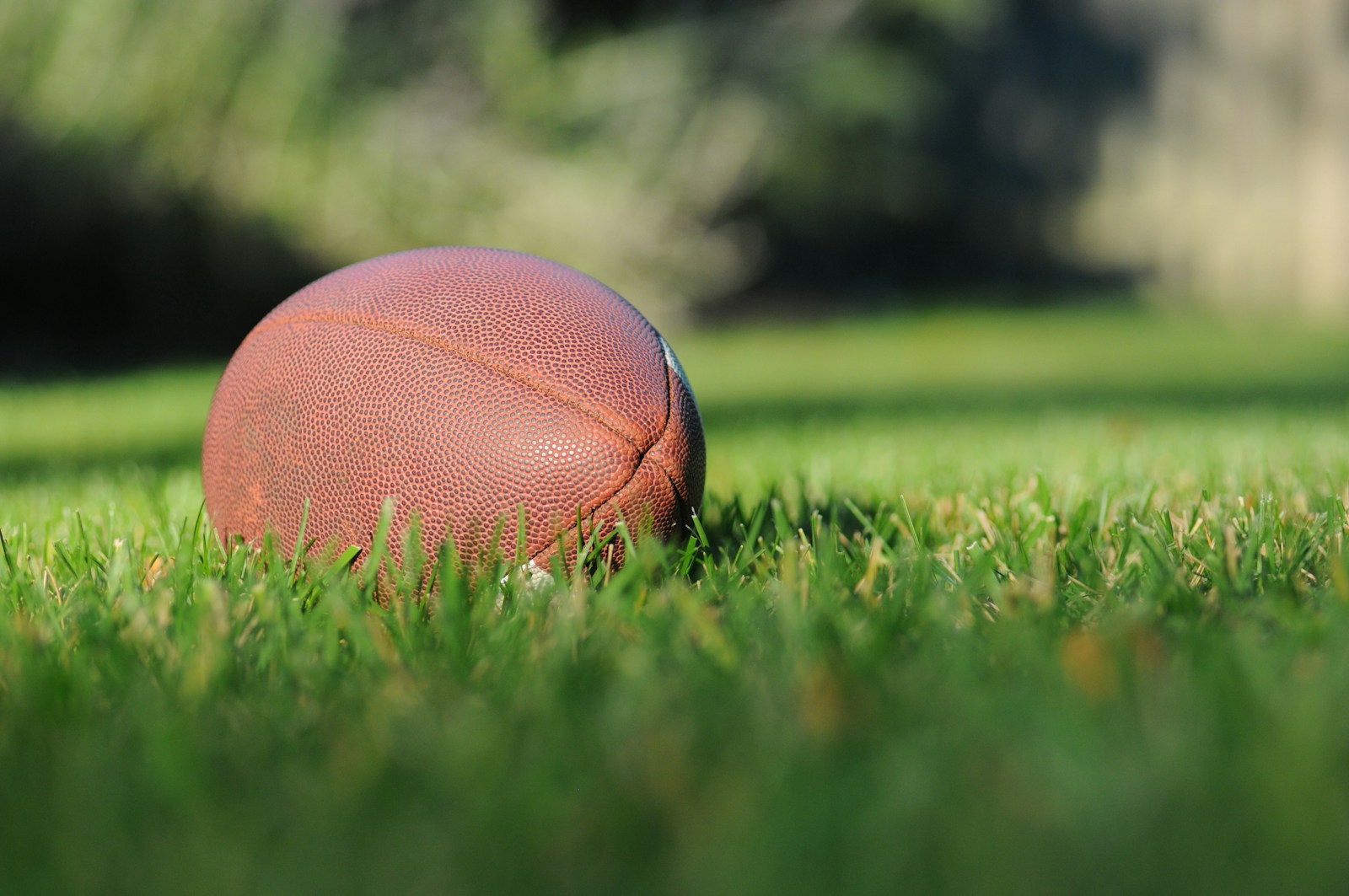 The Scientific Method I Use to Build a Winning Fantasy Football Team